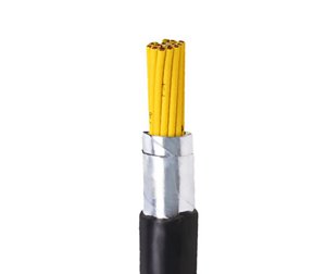 金聯宇鎧裝控制電纜 KVV22
